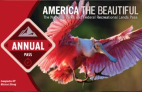 ANNUAL PASS, 2025